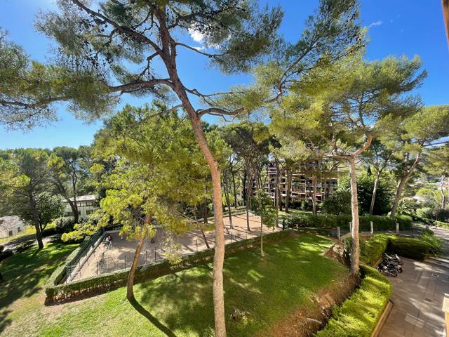 Appartement vente à Grasse, Le Cannet