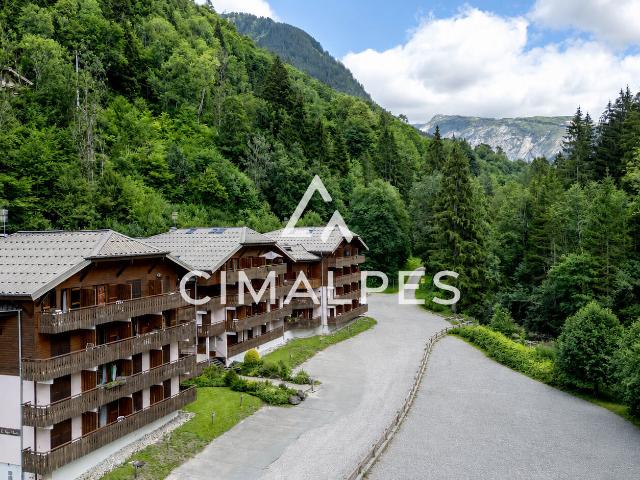 Appartement vente à Thonon-les-Bains, Morzine