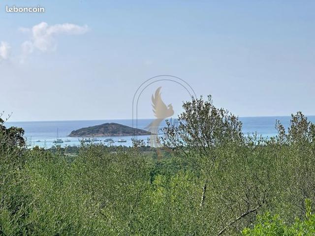 Appartement vente à Sartène, Lecci