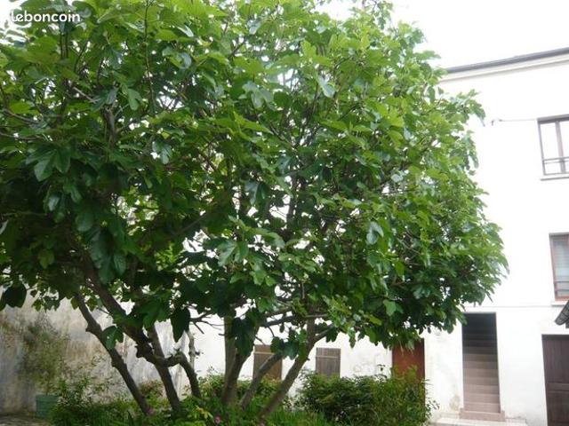Appartement vente à Pontoise, Méry-sur-oise
