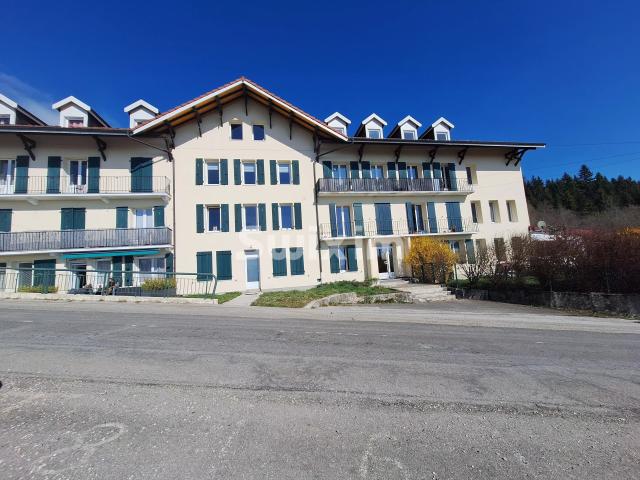 Appartement vente à Saint-Julien-en-Genevois, Lucinges