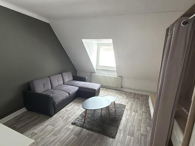 Appartement location à Colmar-Ribeauvillé, Sainte-marie-aux-mines