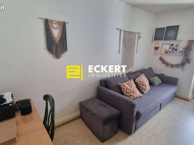 Appartement vente à Strasbourg, Hoenheim