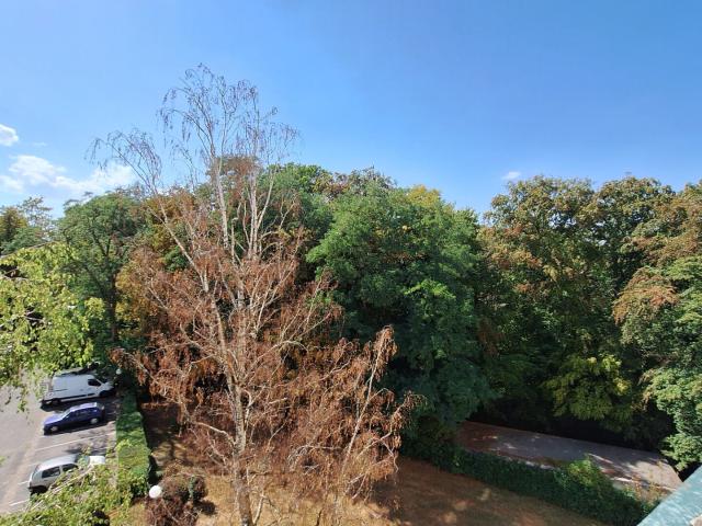 Appartement vente à Nantes