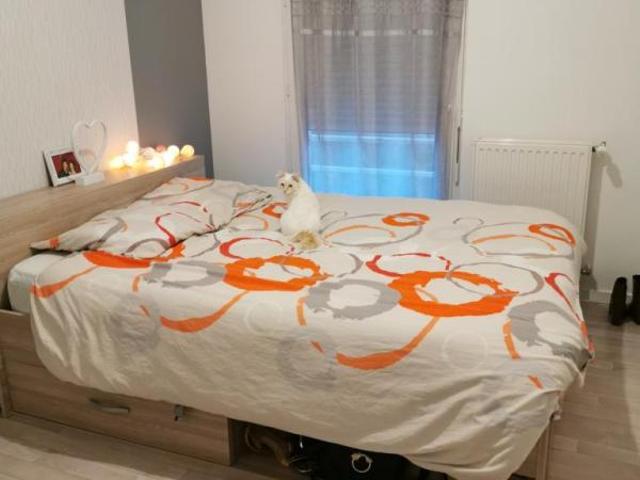 Appartement location à France métropolitaine, Bretagne