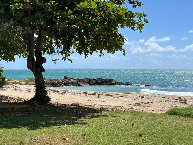 Appartement vente à Guadeloupe