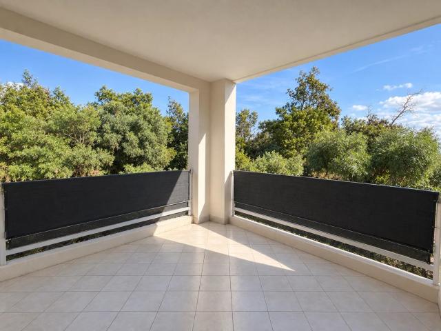 Appartement location à Corte, Sorbo-ocagnano