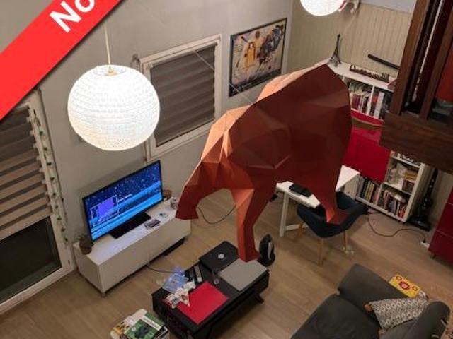 Appartement vente à Toulouse