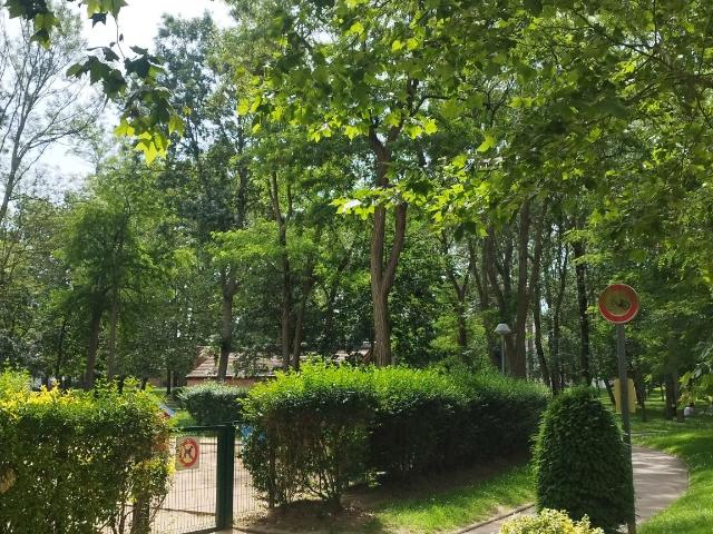Appartement vente à Évry, Yerres