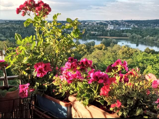 Appartement vente à Évry, Grigny