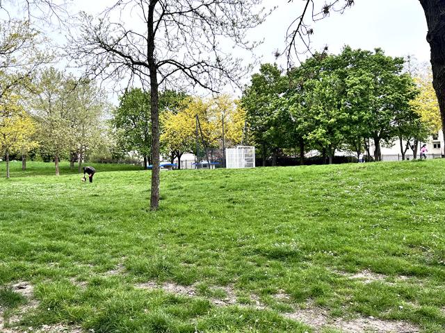 Appartement location à Saint-Germain-en-Laye, Sartrouville