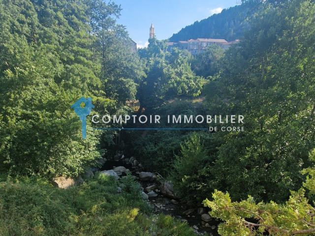 Appartement vente à Corte, Ghisoni