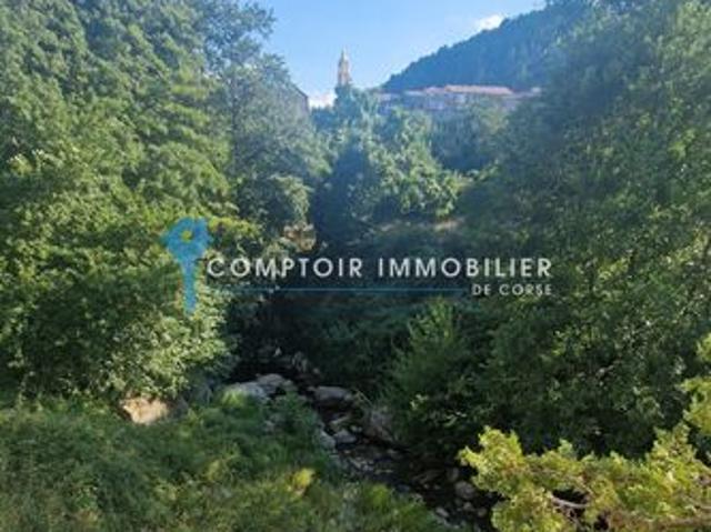 Appartement vente à Corte, Ghisoni