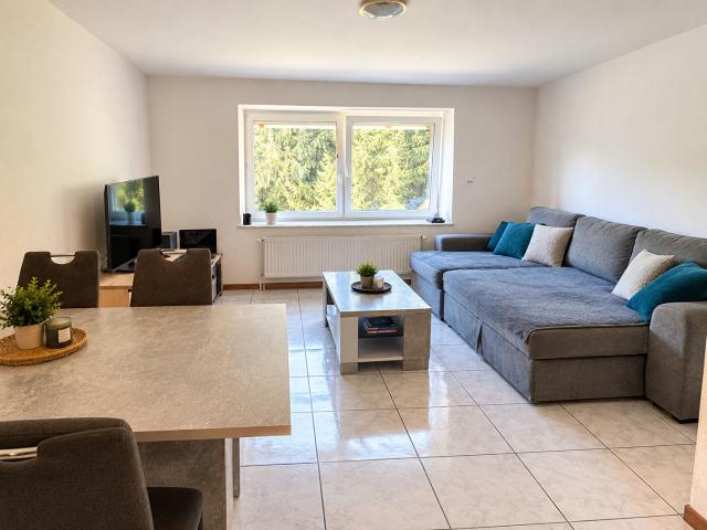 Appartement location à Forbach-Boulay-Moselle, Metzing