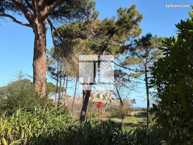 Appartement vente à Calvi