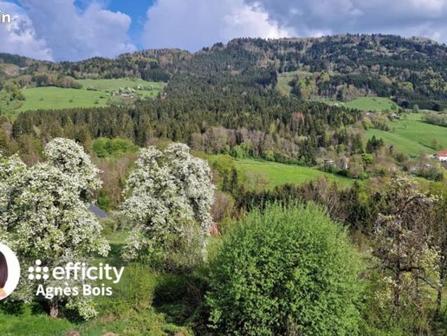 Appartement vente à Bonneville, Viuz-en-sallaz