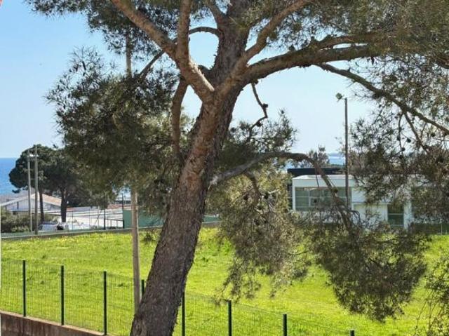 Appartement vente à Bastia