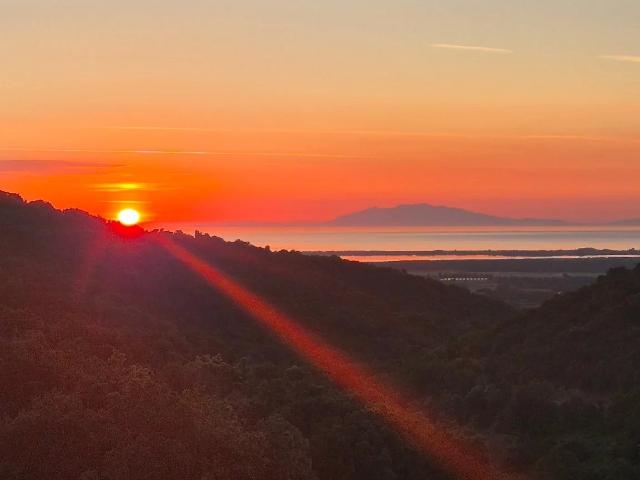 Appartement vente à Bastia, Lucciana