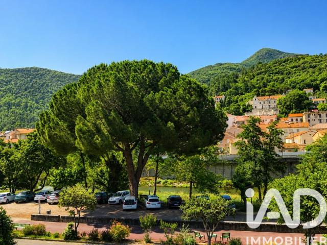 Appartement vente à Céret, Amélie-les-bains-palalda