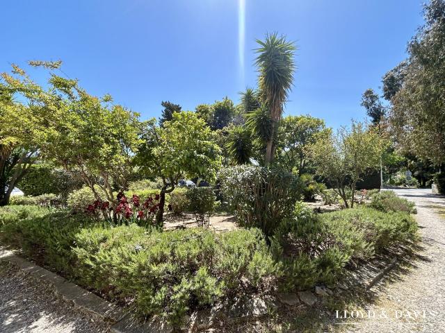 Appartement vente à Le Pin de Bormes, Bormes-les-Mimosas