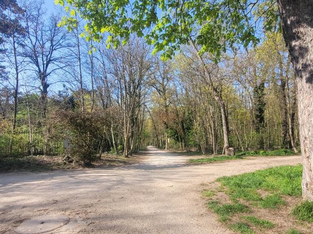 Appartement vente à Nogent-sur-Marne, Nogent-sur-marne