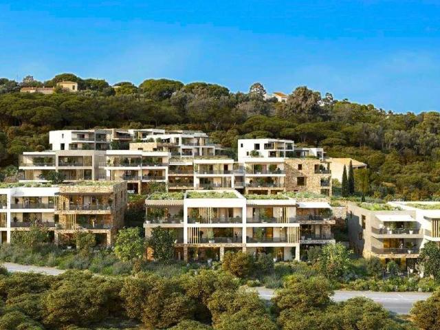 Appartement vente à Calvi