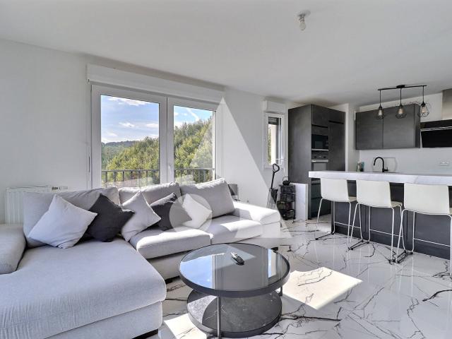 Appartement vente à Le Bas des Aulnaies, Sannois