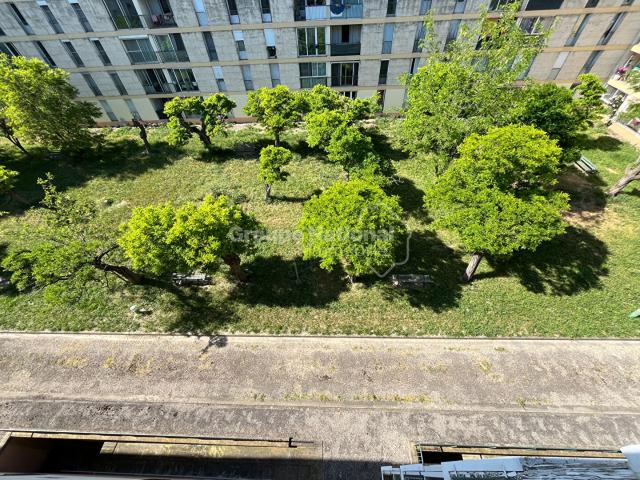 Appartement vente à Arles