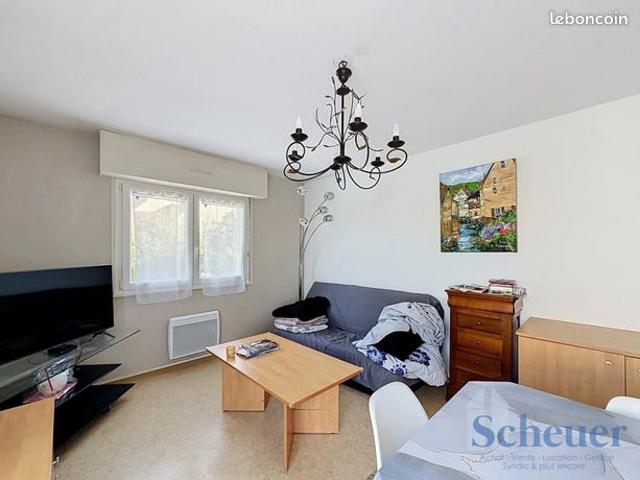 Appartement vente à Strasbourg, Hoenheim