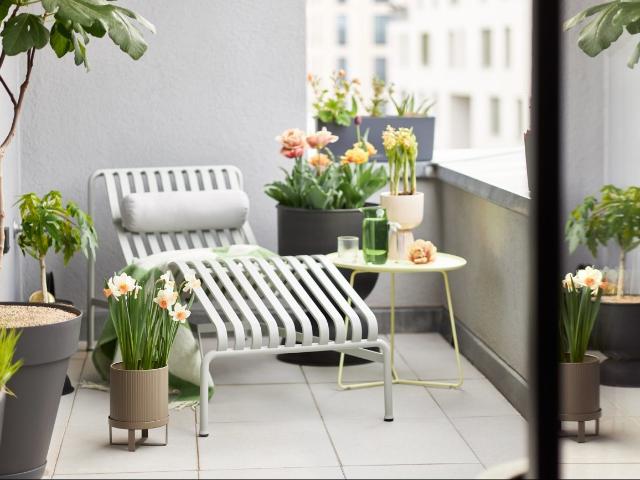 Appartement vente à Toulouse