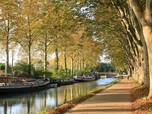 Appartement vente à Toulouse