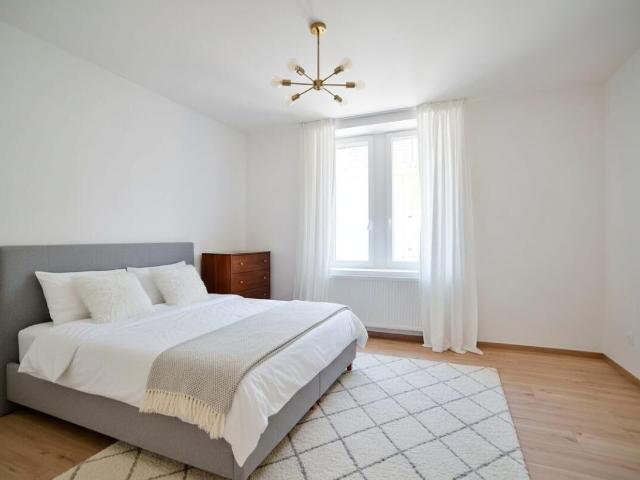 Appartement location à Colmar-Ribeauvillé, Colmar