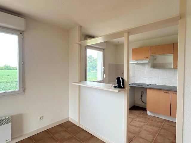 Appartement location à Montauban, La Ville-dieu-du-temple
