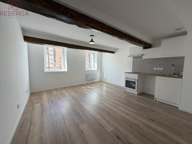 Appartement location à Castres, Mazamet