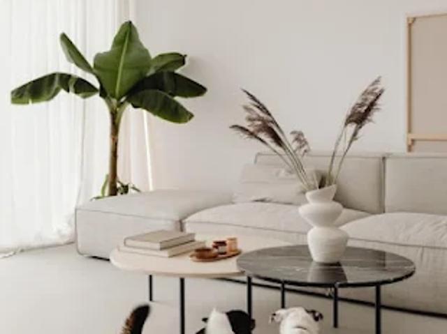 Appartement vente à Arcachon, Andernos-les-bains