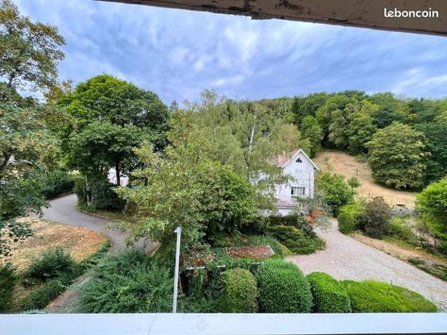 Appartement vente à Thann-Guebwiller, Thann