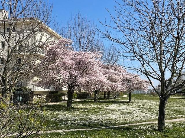Appartement location à Saint-Germain-en-Laye, Carrières-sur-seine