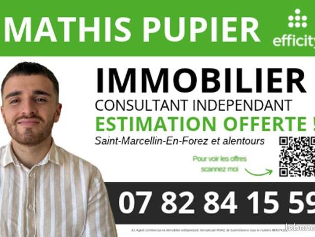 Appartement vente à Saint-Étienne, Loire