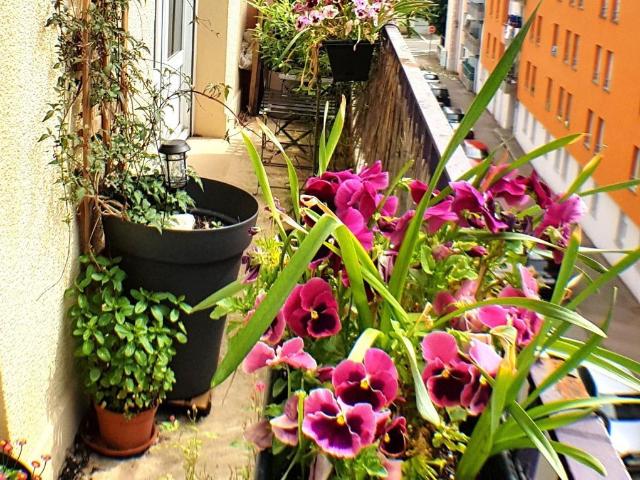 Appartement vente à Limoges