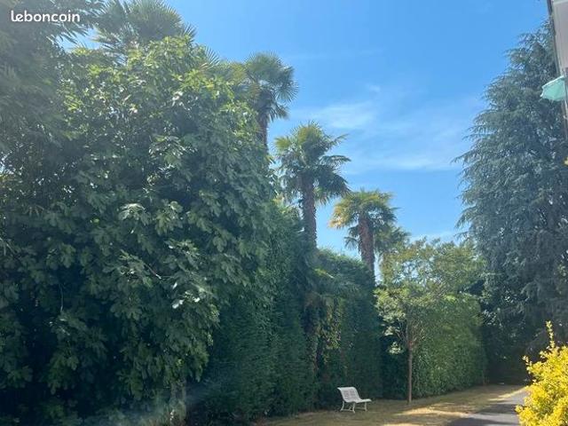 Appartement vente à Pau
