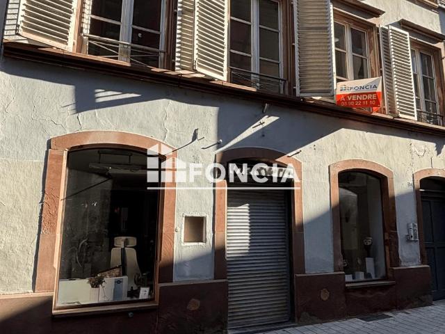 Appartement vente à Strasbourg, Hoenheim