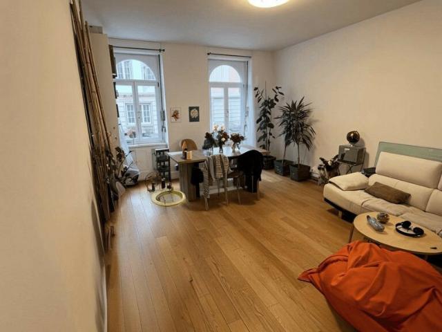 Appartement vente à Strasbourg, Hoenheim
