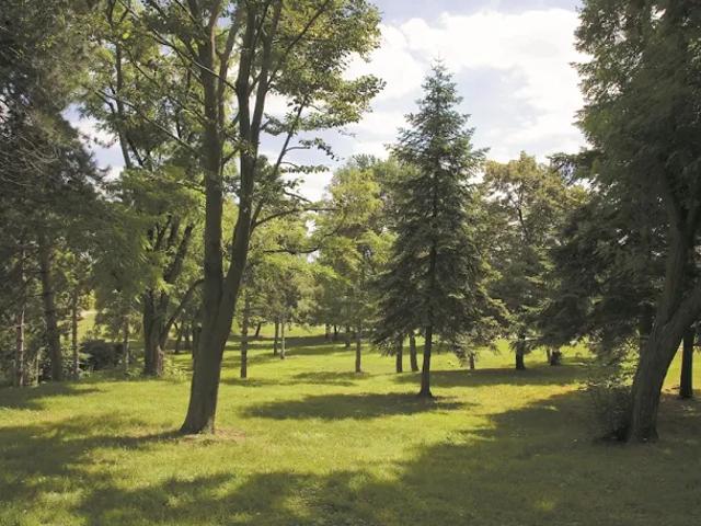 Appartement vente à Saint-Denis, Saint-denis