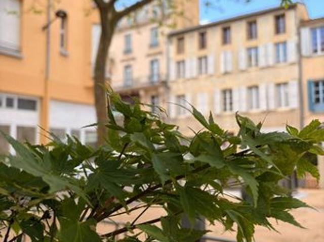 Appartement vente à Carcassonne