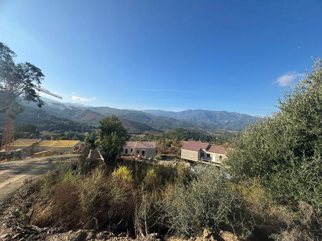 Appartement vente à Calvi, Olmeta-di-tuda