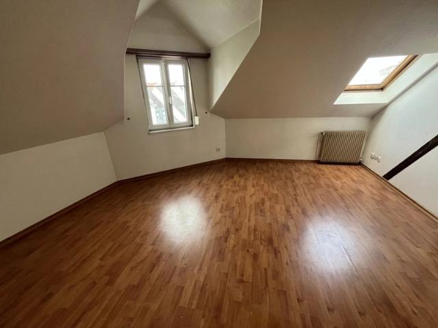 Appartement vente à Strasbourg, Hoenheim