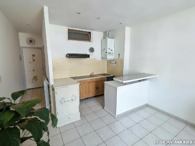 Appartement vente à Le Vigan