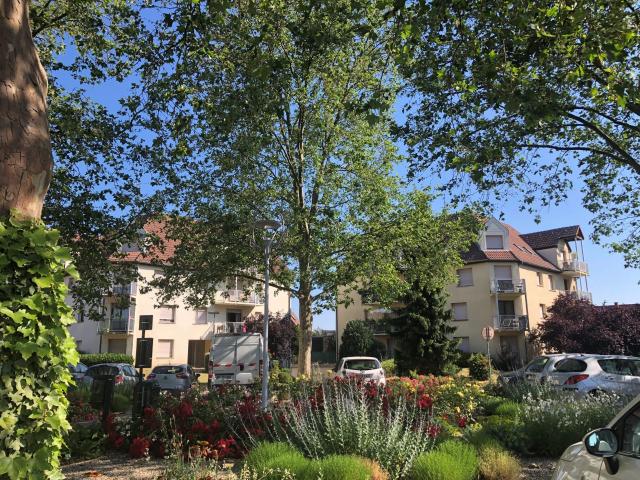Appartement vente à Strasbourg, Niederhausbergen