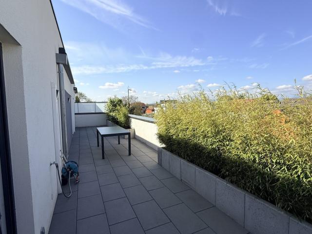 Appartement vente à Wiwersheim, Collectivité européenne d'Alsace