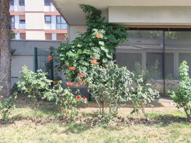 Appartement vente à Saint-Pierre - René II - Bonsecours, Nancy